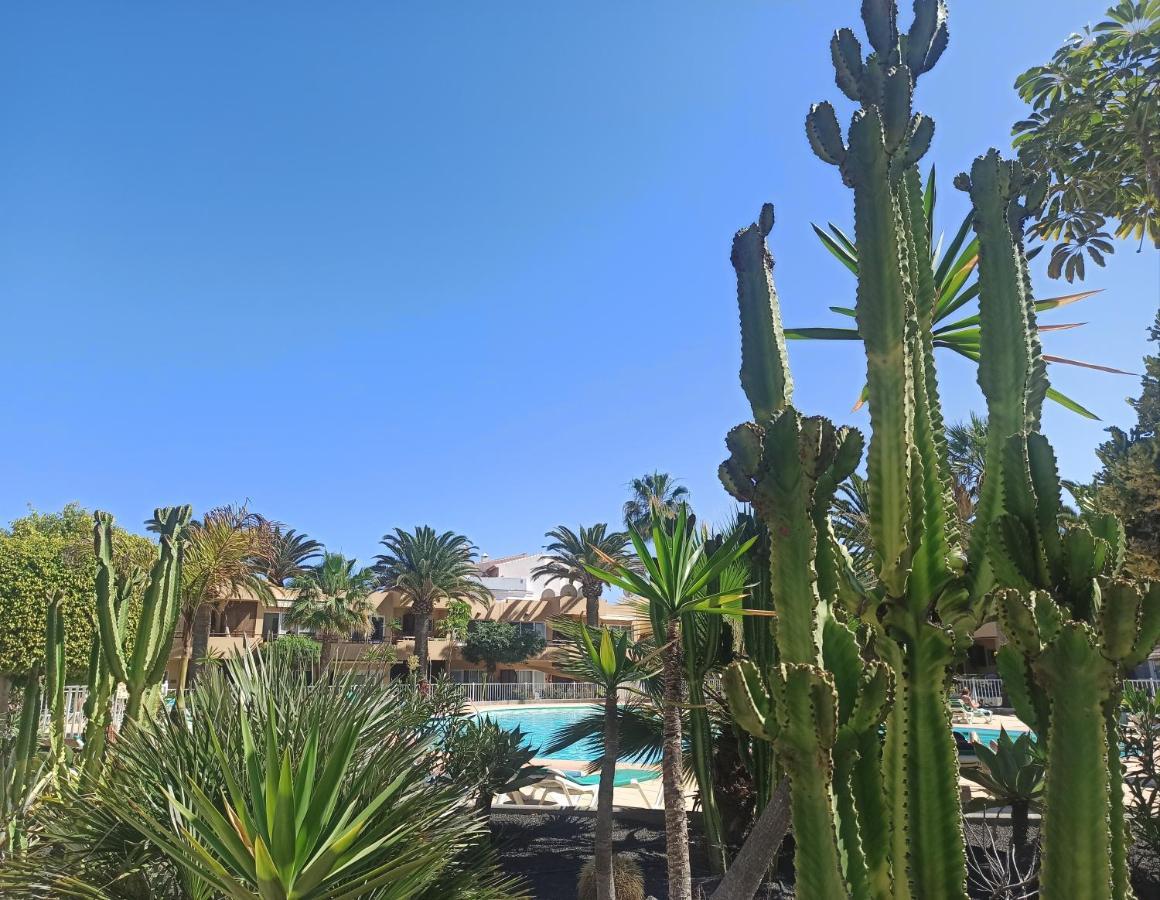 Elrincondesara Apartman Corralejo Kültér fotó