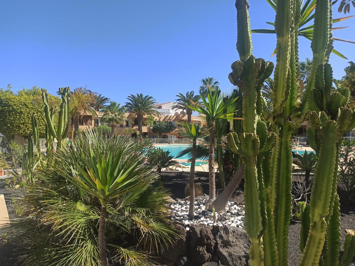 Elrincondesara Apartman Corralejo Kültér fotó